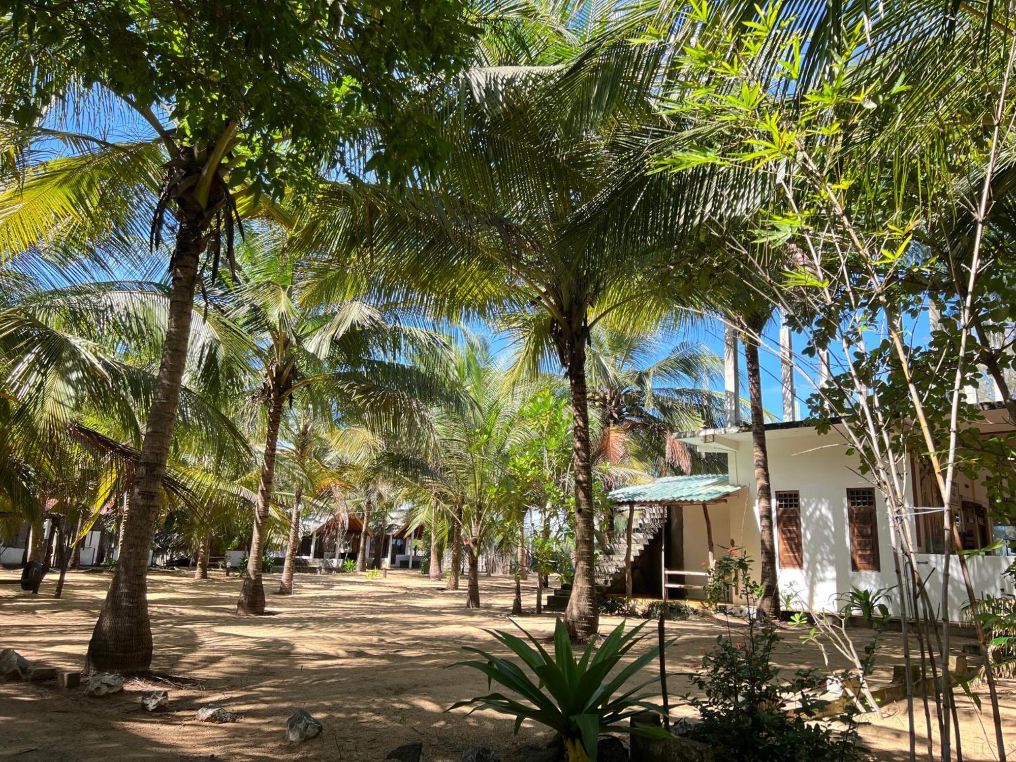 Sand Dune Beach Resort & Surf Camp Arugam Bay Exteriér fotografie